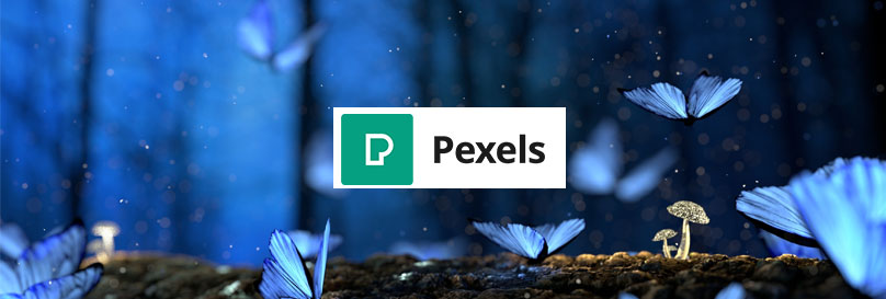 pexels free images website
