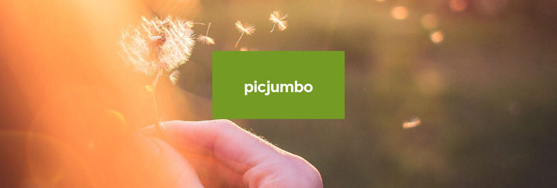 picjumbo free images webiste